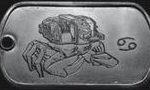 xp5 dogtag 5