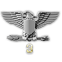 Das Battlefield 3 Rangsystem: Vom Rekrut zum Colonel 100 197 ss3