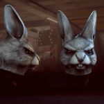 bfh hase