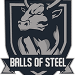 Der =Balls of Steel= Clan sucht neue Member (BF1 PC)
